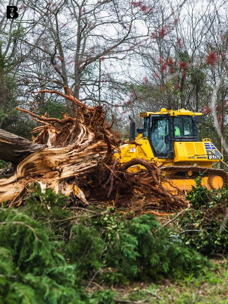 Brush removal and land clearing with an excavator in Northeast Georgia