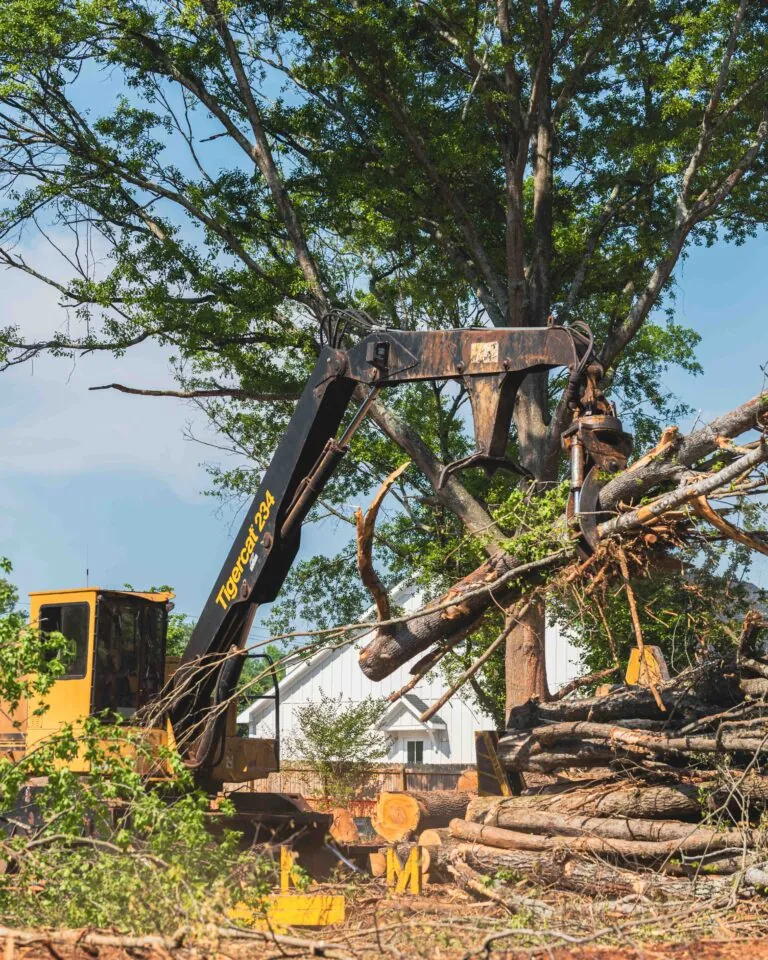 Land clearing crew removing trees and brush with an excavator in Northeast Georgia
